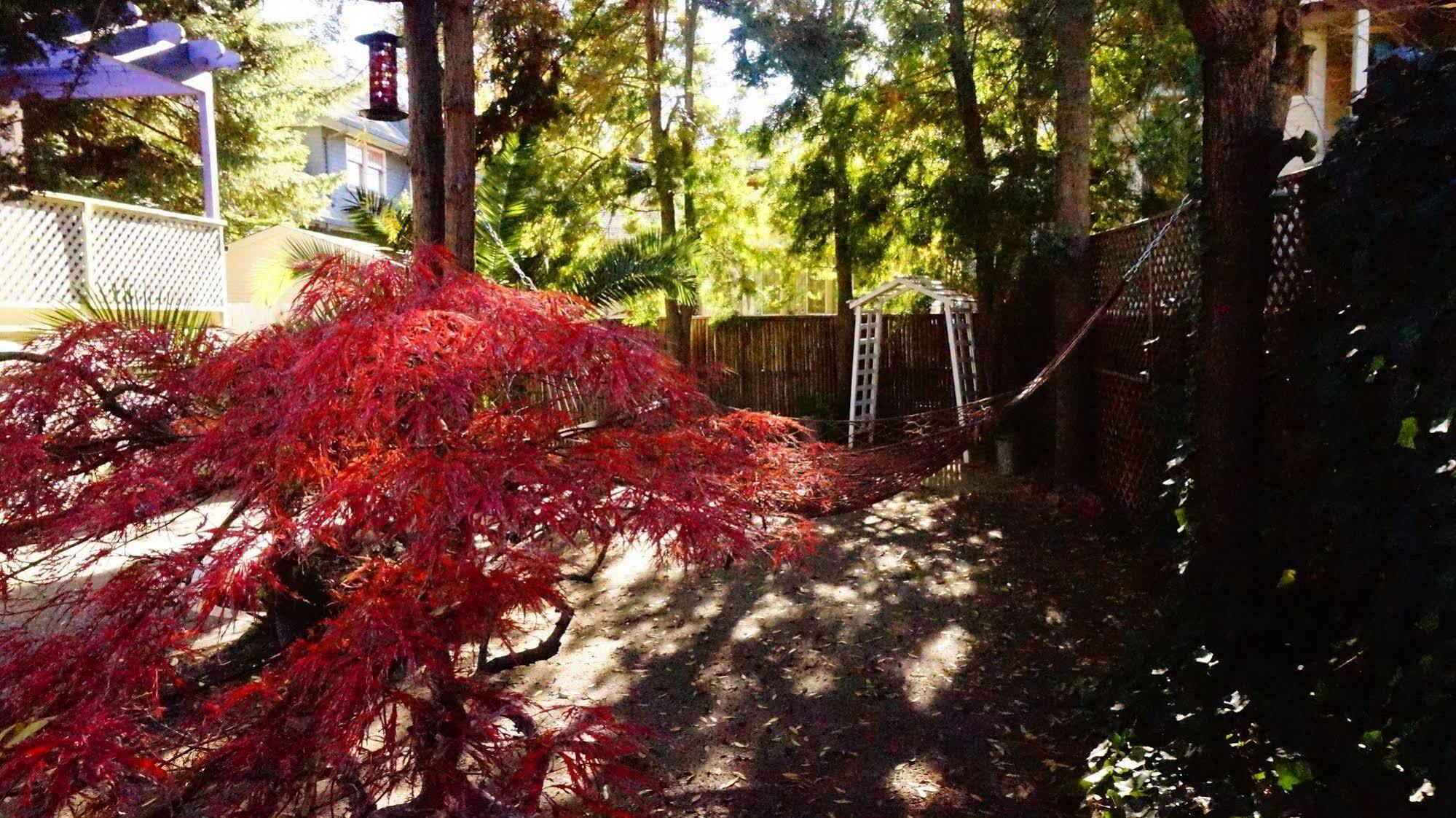 Amber House Inn Of Midtown Sacramento Exterior foto